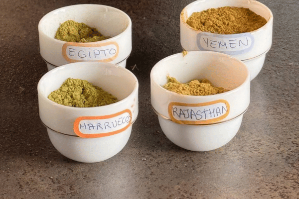Plantas tintóreas naturales: henna, índigo, amla e hibisco